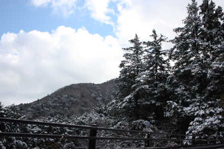 箱根♪
