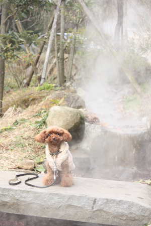 熱海梅園♪