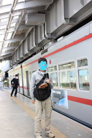 江ノ島♪