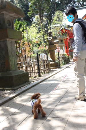 江ノ島♪