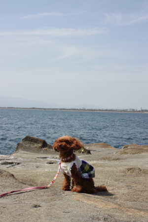 江ノ島♪