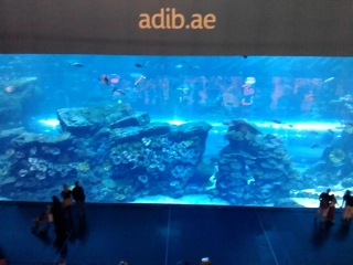 139.jpg