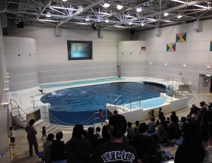 2013120407.jpg