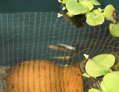 2013120603.jpg