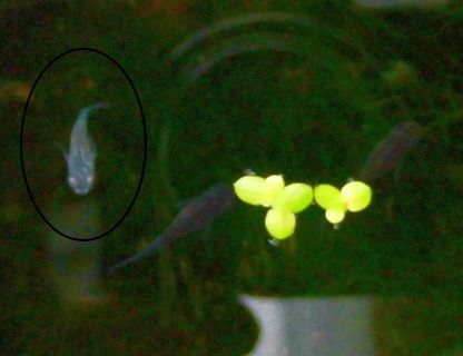2013122403.jpg