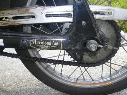 IMGP5393.jpg