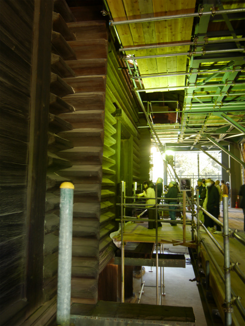P1060049.jpg
