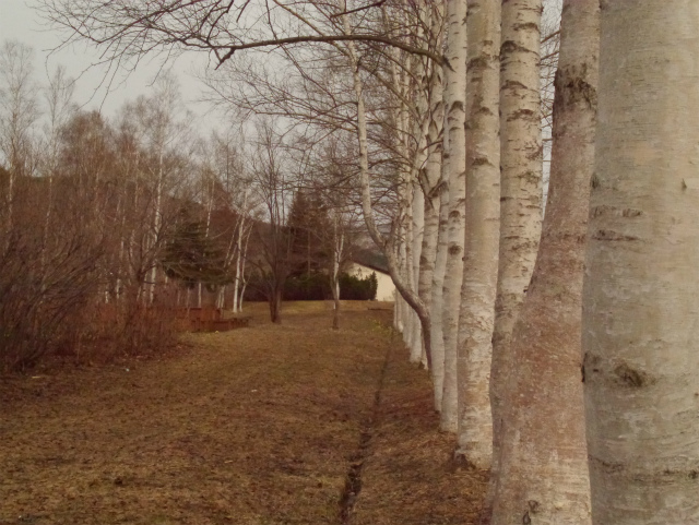 P1070248.jpg