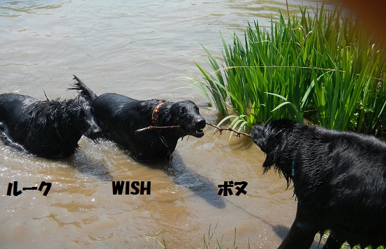mizuasobi san
