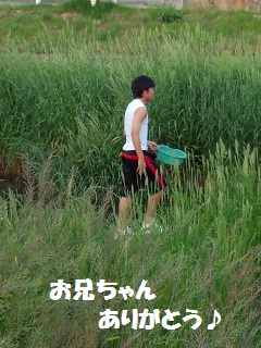 kamenoongaesi.jpg