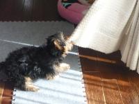 繧ィ繝ェ繧カ繝吶せ荳サ縺ォ+157_convert_20111220000752