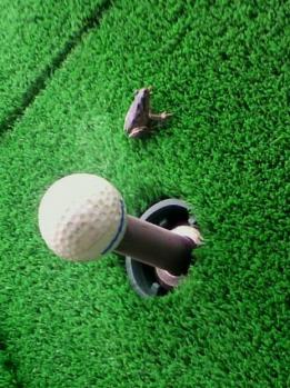 20110830P1010034b.jpg