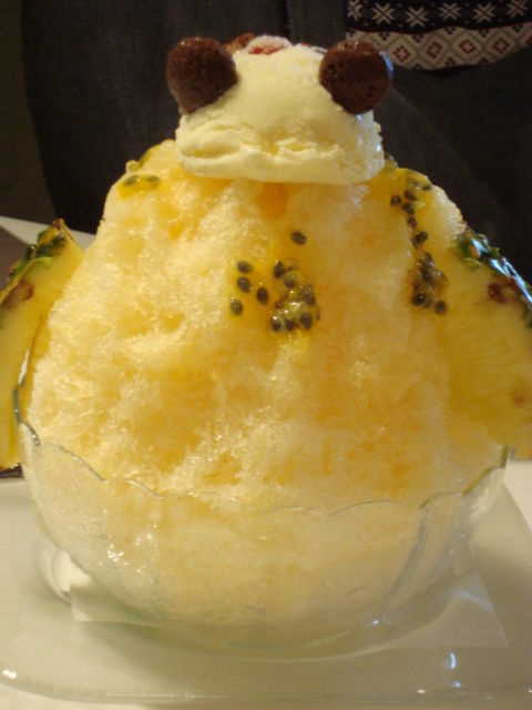 DSC07121.jpg