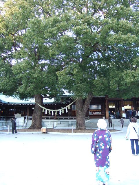 DSCF7474.jpg