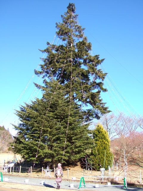 DSCF7653.jpg