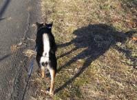IMG_0002_20130125194706.jpg