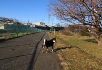 IMG_0003_20130125194643.jpg