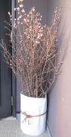 IMG_0015_20130125194850.jpg