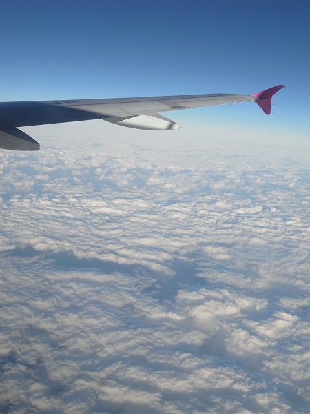 R0016681.jpg