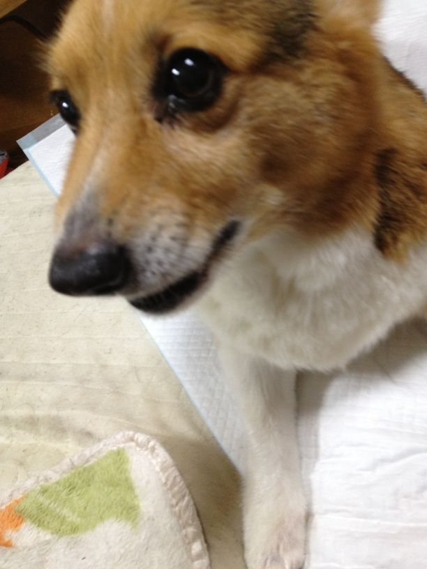 2013-04-05-02.jpg