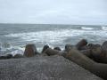 s-DSCF6655.jpg