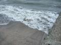 s-DSCF6656.jpg