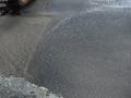 s-DSCF6657.jpg