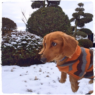 20140210d.jpg