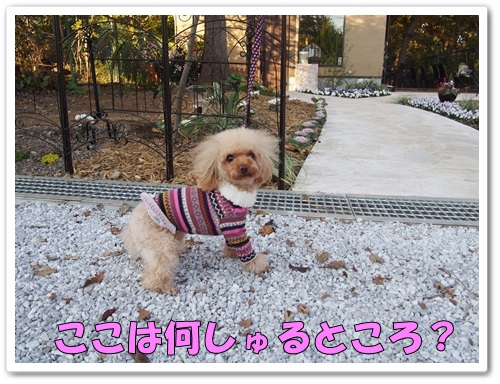 20131121_139.jpg