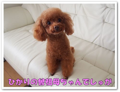 20131123_010.jpg