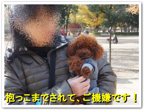 20131204_007.jpg