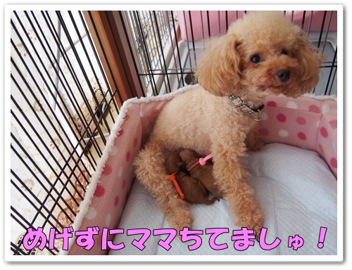 20131207_063.jpg