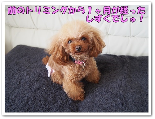 20131209_011.jpg