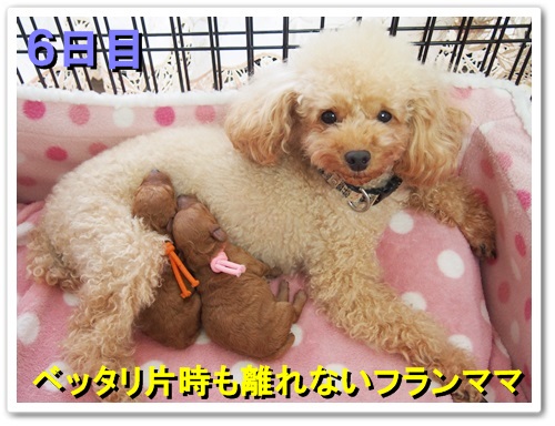 20131211_002.jpg