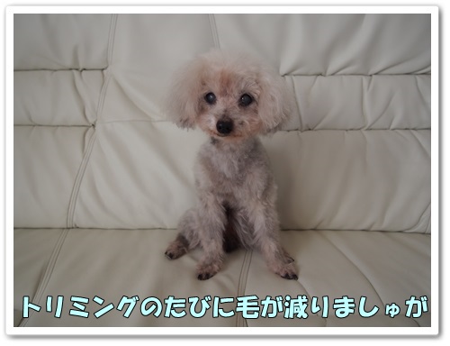 20131215_164.jpg