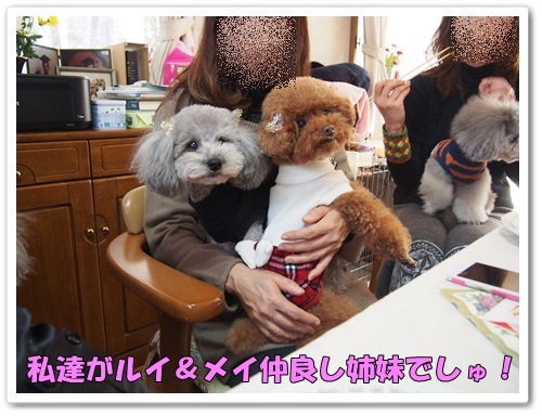 20131216_146.jpg