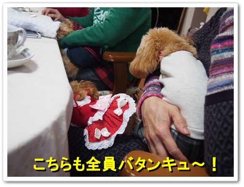 20131216_357.jpg