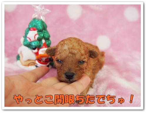 20131222_173.jpg