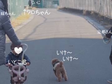 モコ