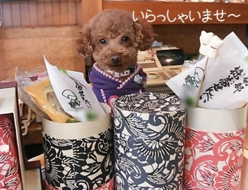 モコ