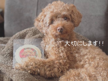 モコ