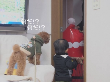 モコ