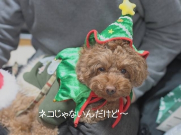 モコ