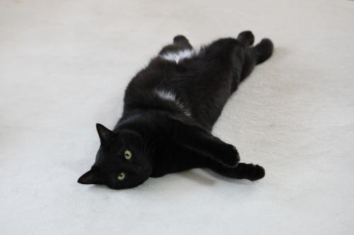 ひらき