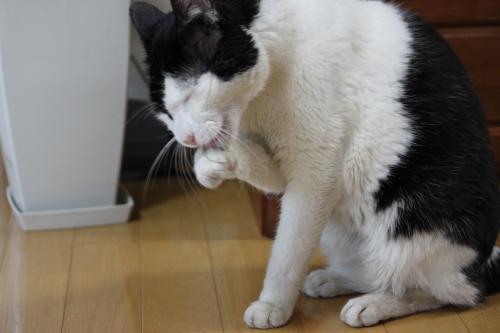きれい 2