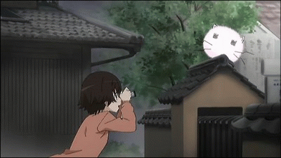 1322037035851.gif