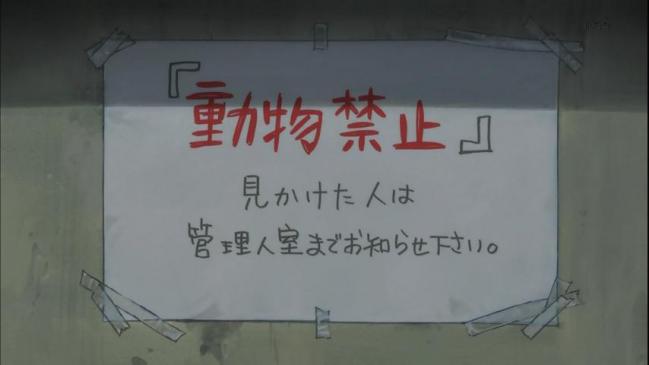 pa1322154947744.jpg
