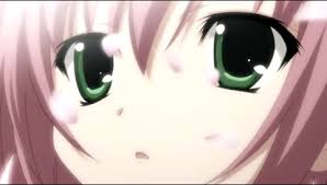 images (53)