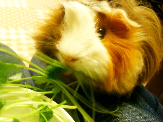 iphone_20120114211347.jpg