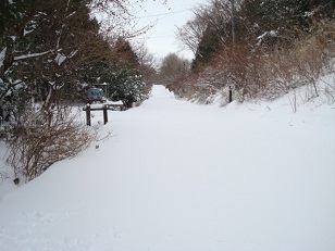 DSC05007-2-9.jpg